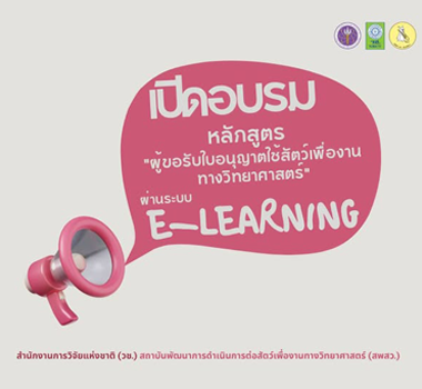 Third slide